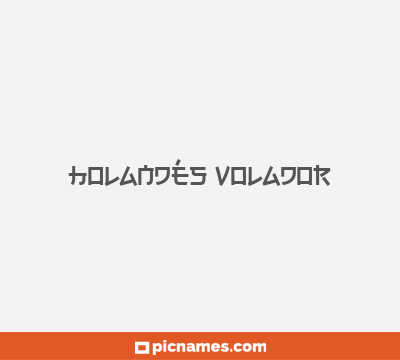 Holandés Volador